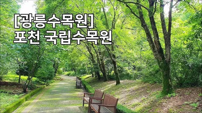 숨겨진 힐링 명소로 떠나는 포천 광릉수목원 완전 정복 가이드북 2025_7
