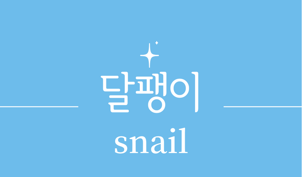 &#39;달팽이(snail)&#39;