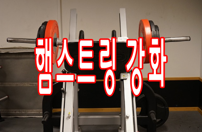 햄스트링 강화