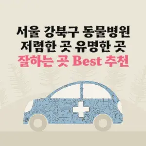서울 강북구 동물병원 잘하는 곳 가격 저렴한 곳 추천