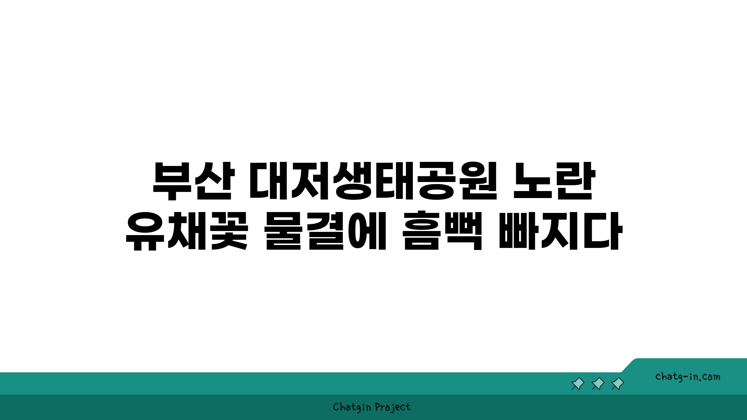 부산 대저생태공원 노란 유채꽃 물결에 흠뻑 빠지다