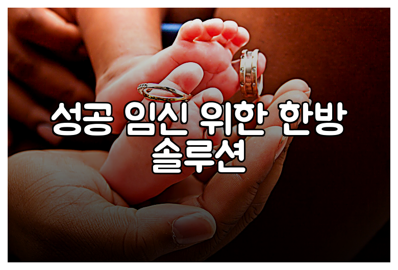 성공 임신 위한 한방 솔루션