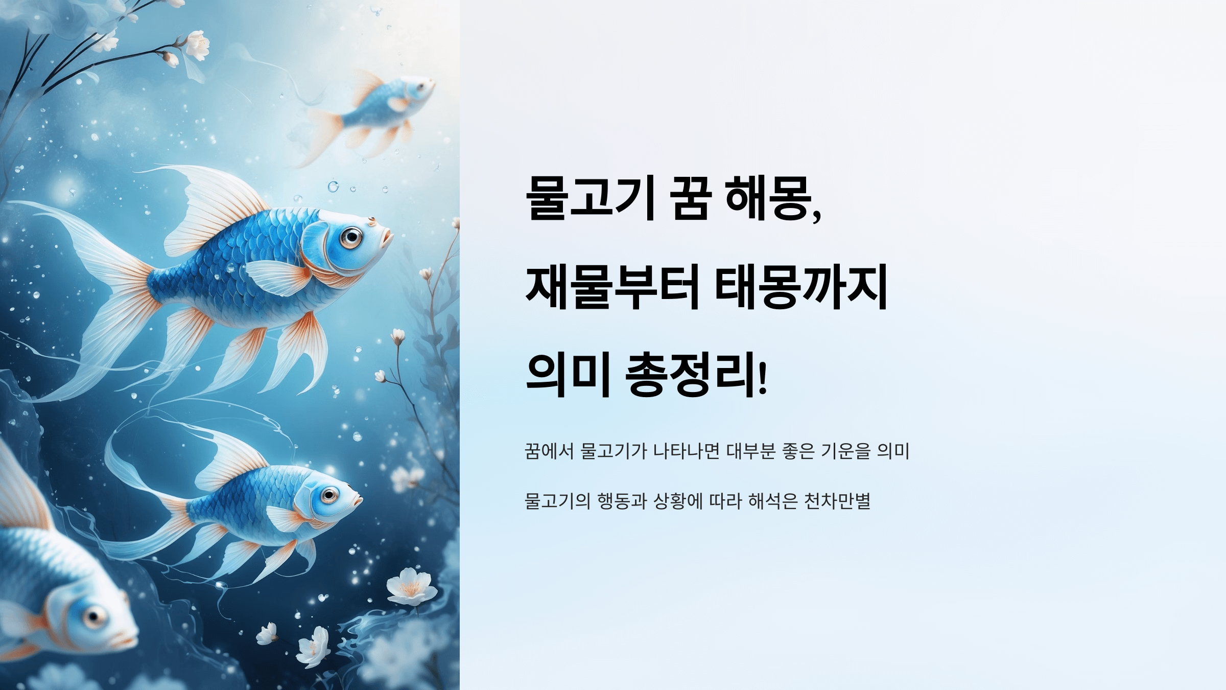 물고기 사진입니다.