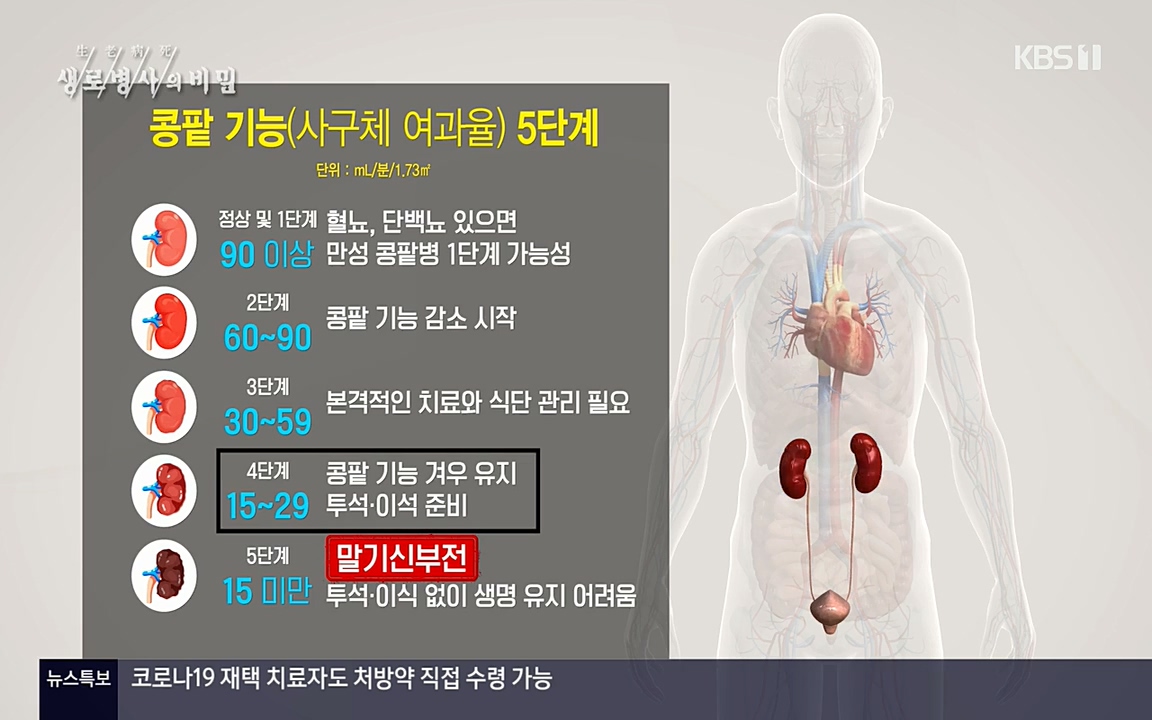 생로병사의 비밀.E819.220421p-NEXT.mp4_20220421_193718.509.jpg
