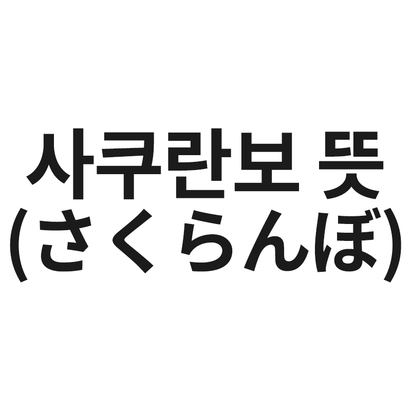  사쿠란보 뜻을 알려드립니다