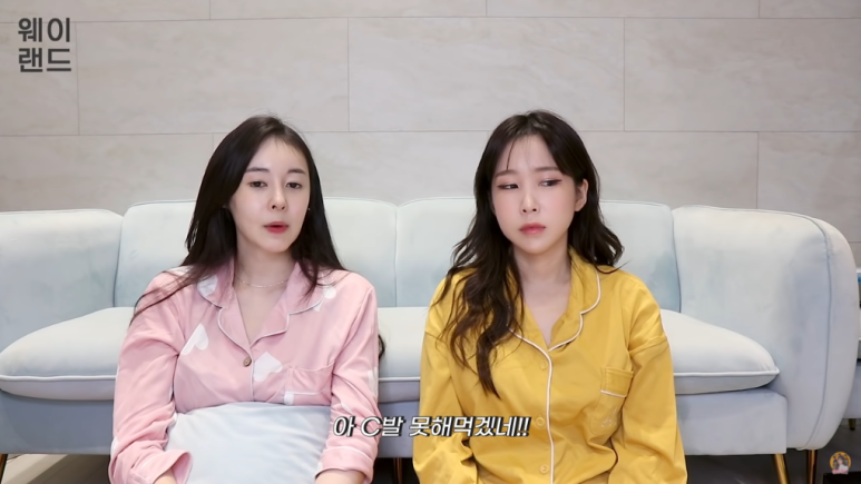 ●심지호 등을 거론하며 '오지호, 허이제 남자배우 아님' 성명문 '허이제 은퇴 사유'라고 하는 유부남 배우 정지호 33