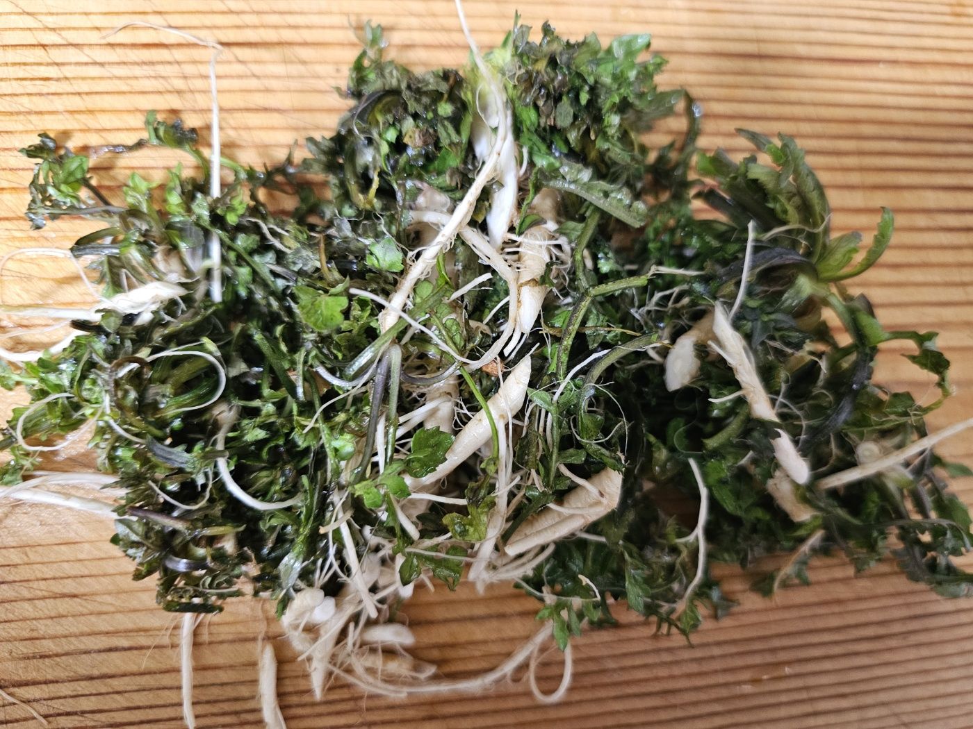 전통시골된장 파는곳 추천&amp;#44; 맛있는 냉이달래 된장찌개 끓이는법