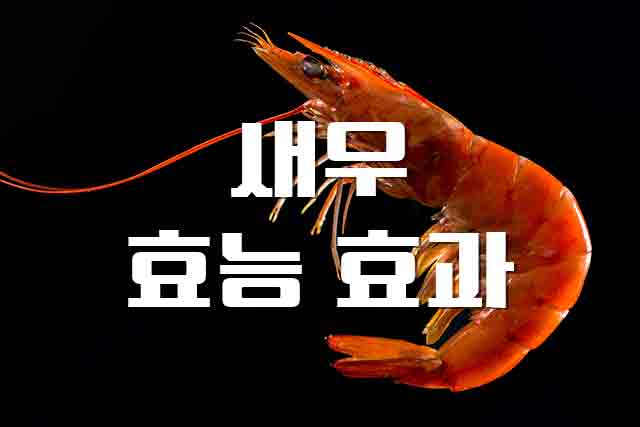  새우, 천연 항산화제로 노화를 예방하는 새우