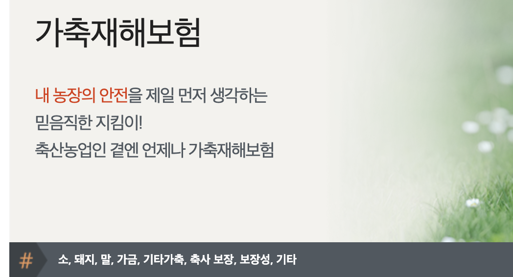 NH 가축재해보험