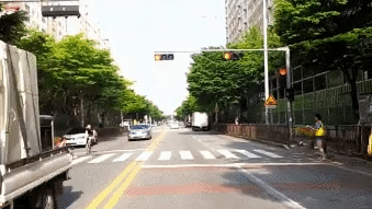  혈압주의) 자라니 레전드 모음.gif