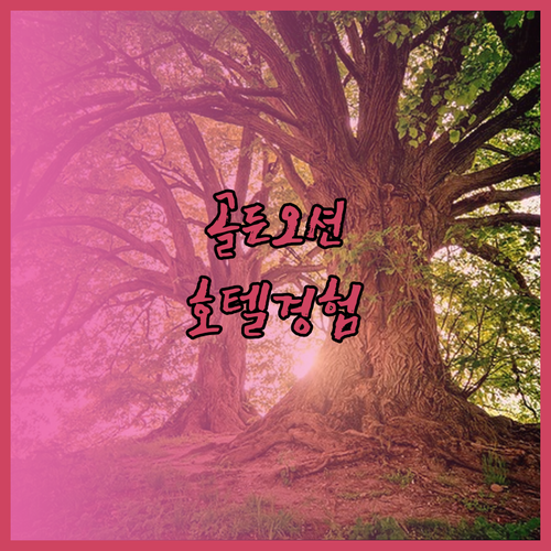 도하의 골든 오션 호텔은 과연 어떤 