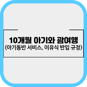 10개월 아기와 함께하는 괌 여행 준비(아기동반 서비스&#44; 이유식 반입 규정)