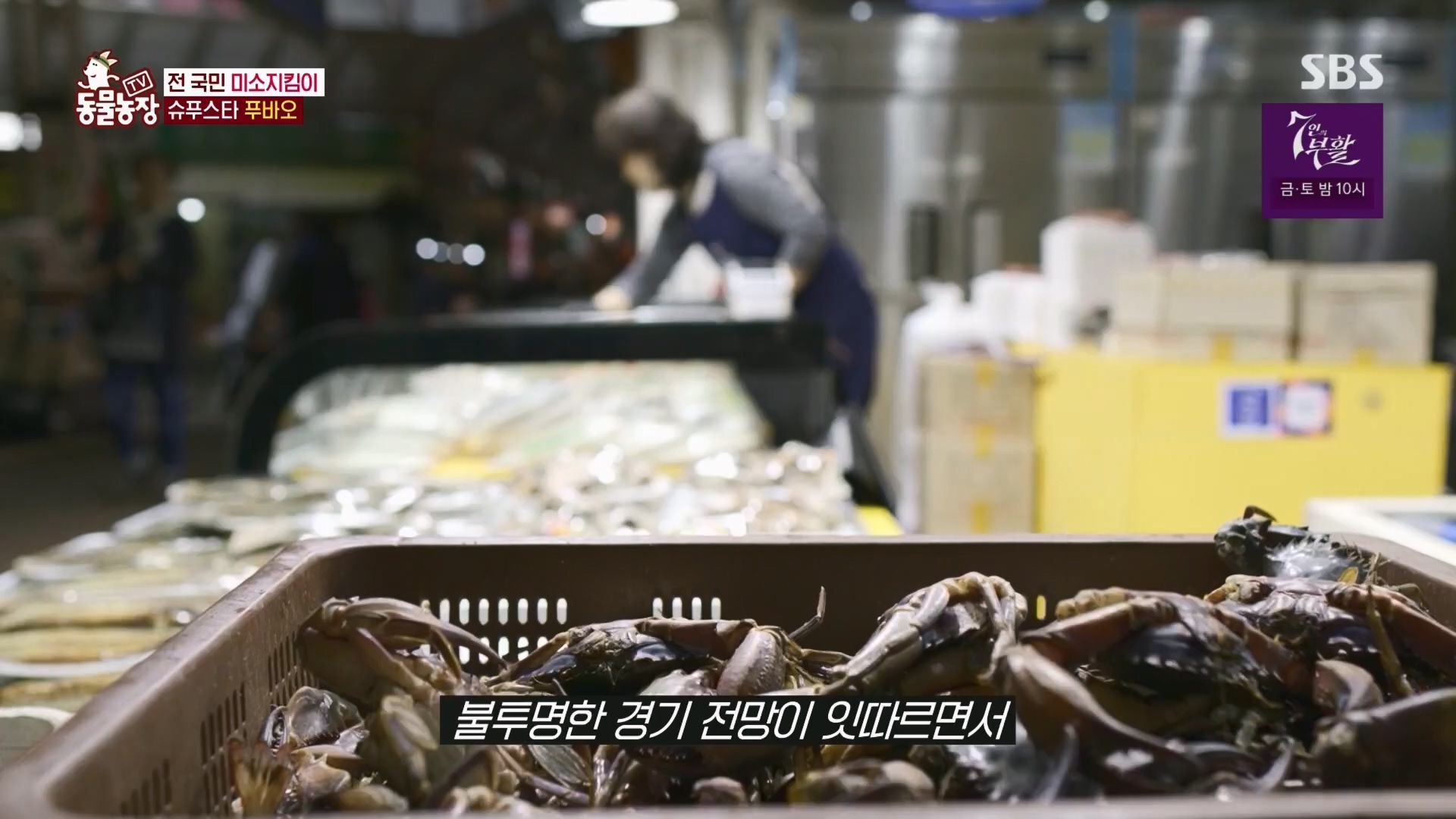 TV 동물농장.E1165.240331p.H264-F1RST.mp4_20240331_144354.713.jpg