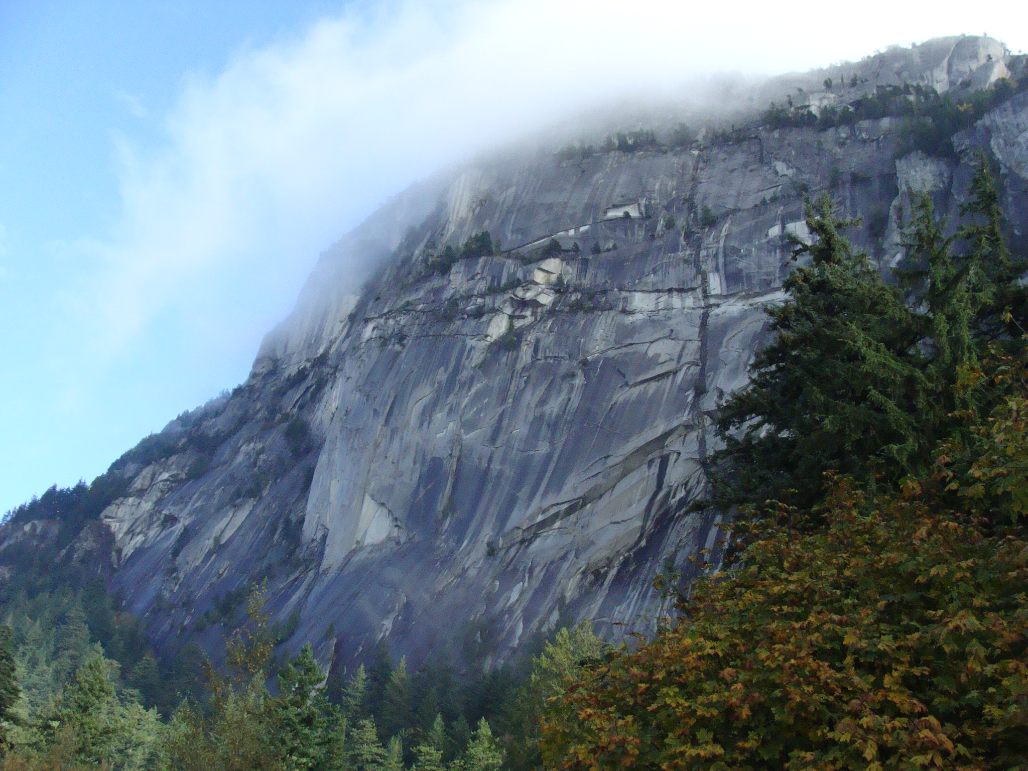  Grand Wall