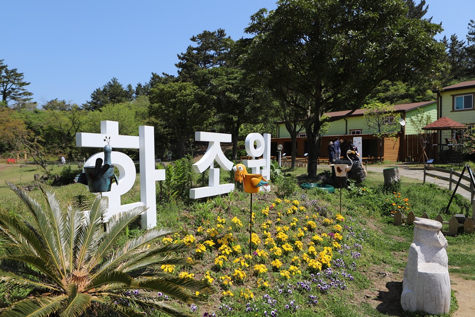  제주도 체험 화조원 알파카와 앵무새 감상!