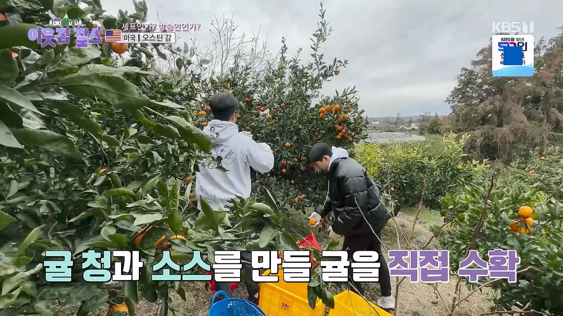 이웃집 찰스.E371.230117p.H264-F1RST.mp4_20230118_195433.710.jpg