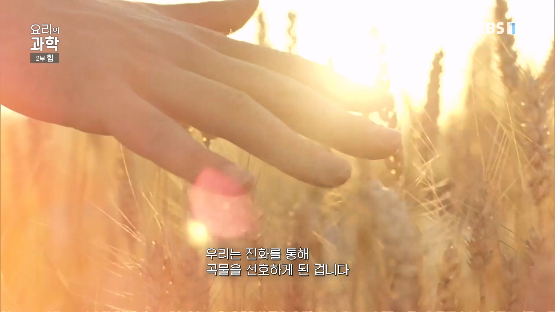 EBS 다큐프라임.201201.요리의 과학 - 2부 힘0p.mp4_20240411_200618.154.jpg