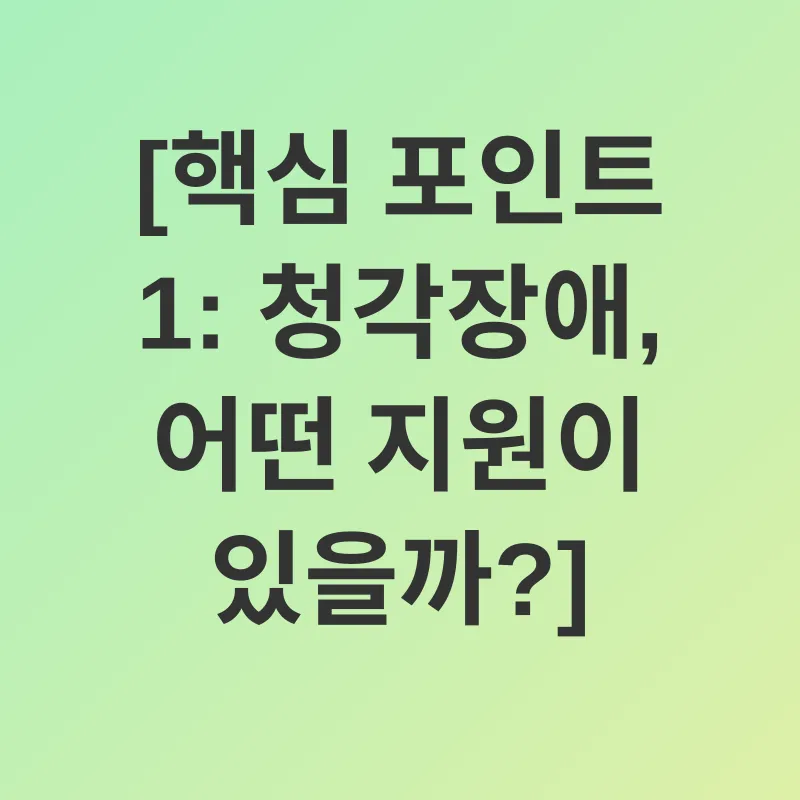 청각장애 지원_1
