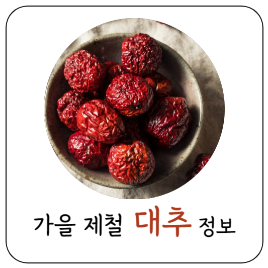 대추정보