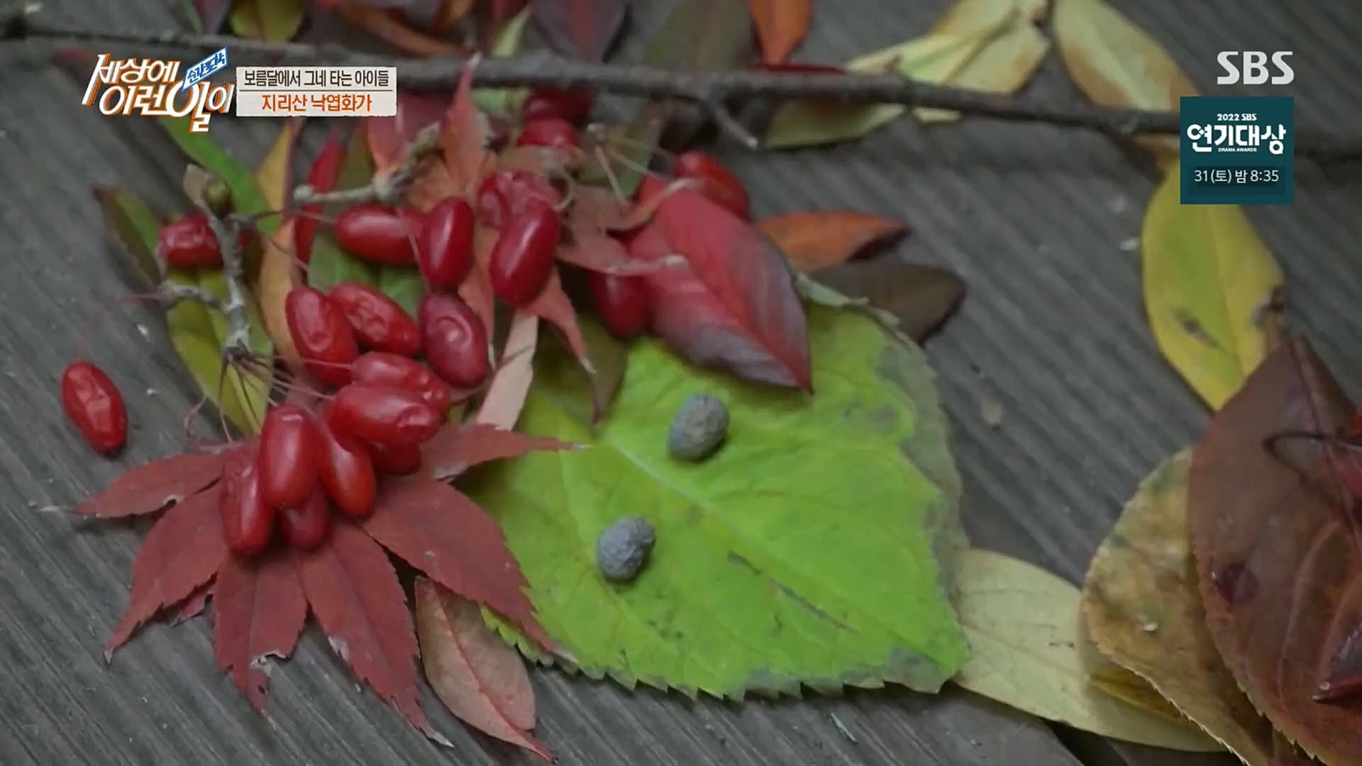 순간포착 세상에 이런일이.E1211.221227p.H264-F1RST.mp4_20221228_195151.293.jpg