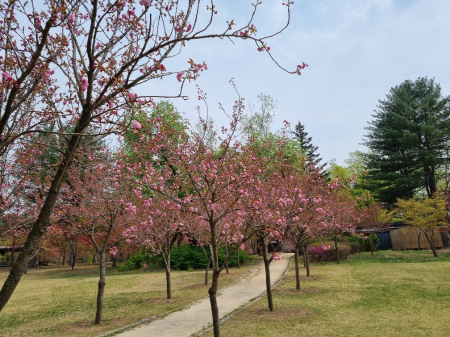 남이섬 배시간표 남이섬 배시간표, 할인 방법, 9