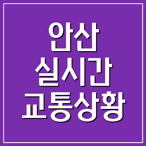  안산 실시간 교통상황 및 CCTV 영상 정보 보기