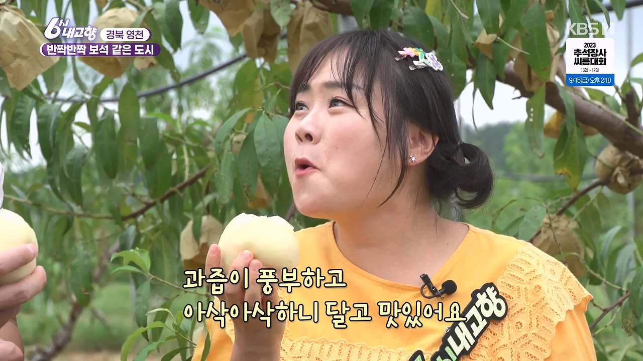 6시 내고향.E7878.230912p-NEXT.mp4_20230918_211126.691.jpg