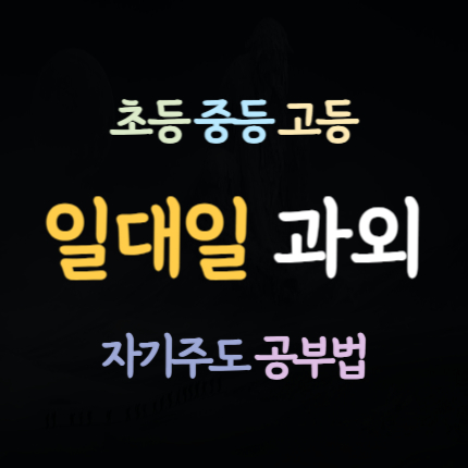  창전동 고등 영어과외 제천 고암동 중등 수학과외 초등 국어과외 일대일 중학생 과학 사회 역사 한국사