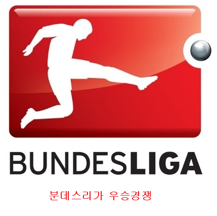  분데스리가 우승경쟁:마지막 라운드에 결정