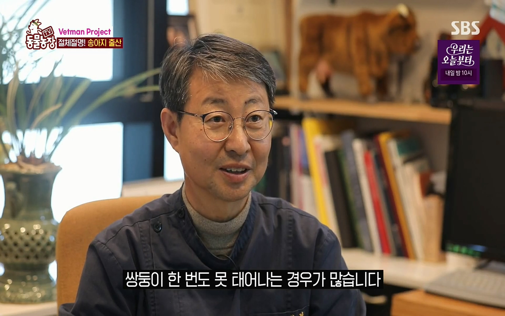 TV 동물농장.E1069.220515p.H264-F1RST.mp4_20220515_180114.955.jpg