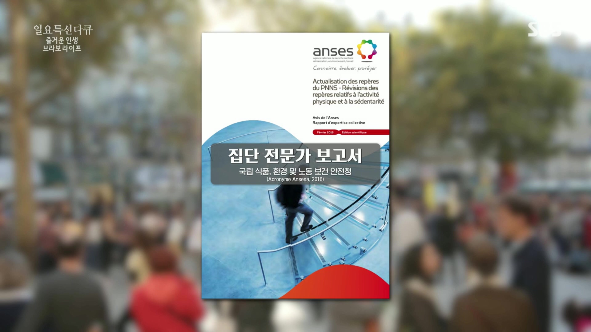 일요 특선 다큐멘터리.E292.221016p.H264-F1RST.mp4_20221018_182524.156.jpg