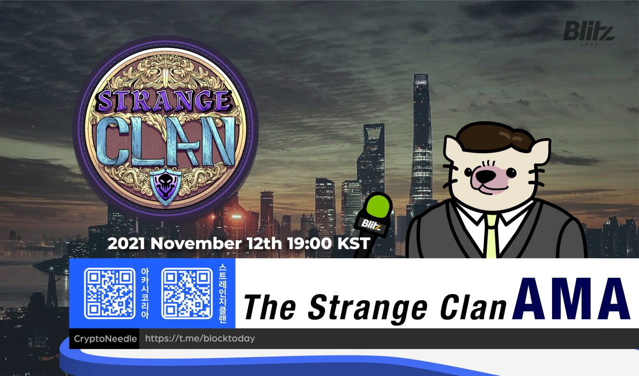  스트레인지 클랜(Strange Clan) 11월 13일 AMA 내용 정리 + 분석