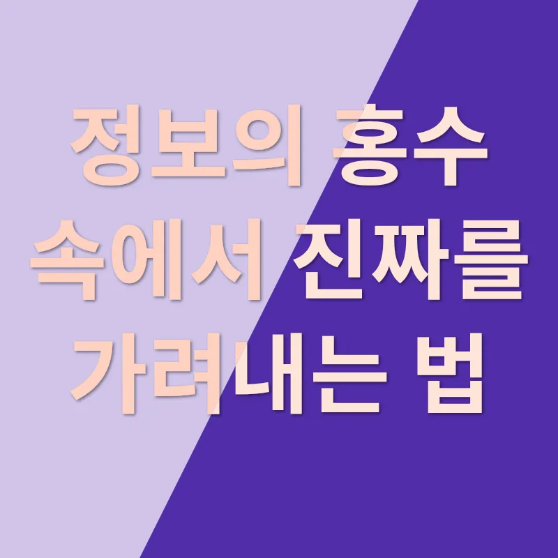 투자 사기 방지_3