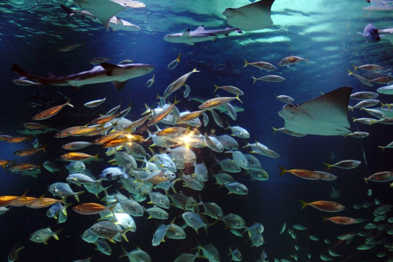 주말 가볼만한곳 베스트10 대구여행 가볼만한곳 팔공산 22