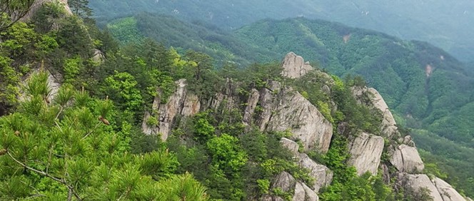 도락산 전경