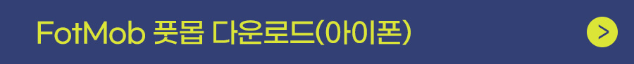 카타르 아시안컵