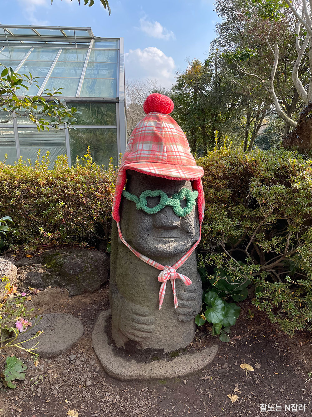  겨울 '제주 동백꽃'