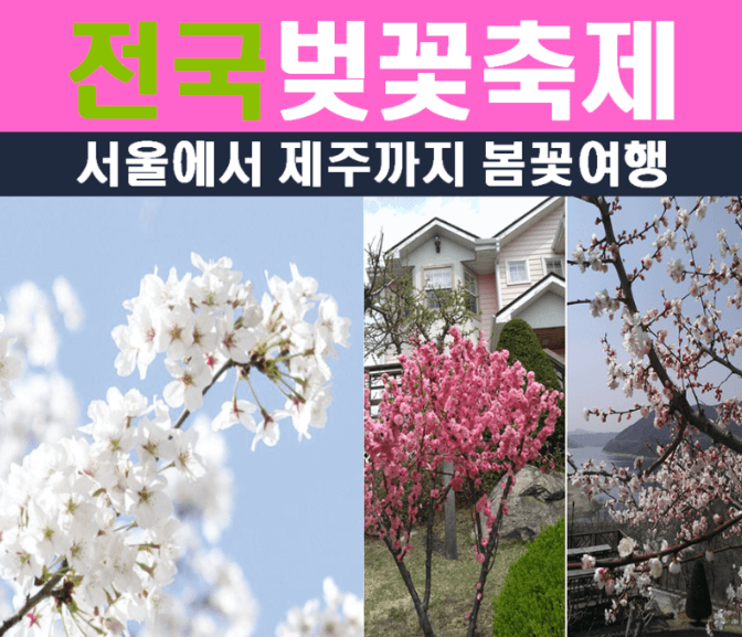 전국 벚꽃 축제