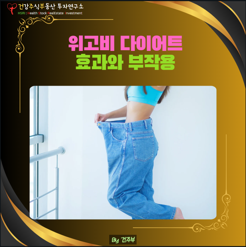 위고비 다이어트 효과와 부작용
(글 그림 : 건주부, 그림 출처 : Canva)
