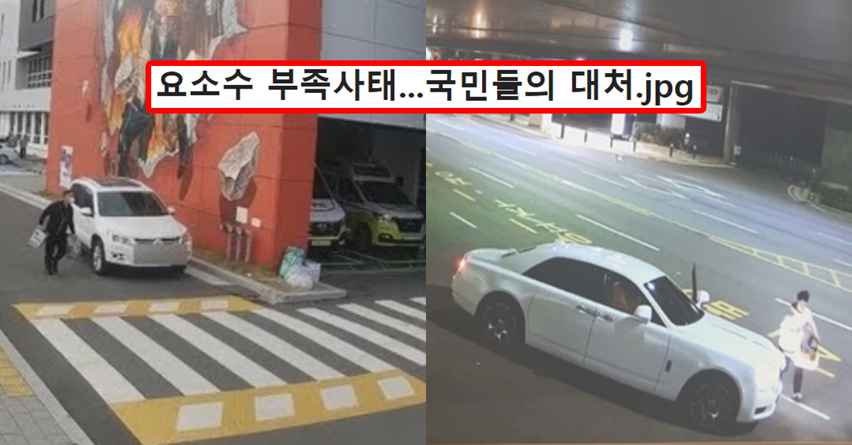  요소수 부족사태에 대한민국 국민들의 대처