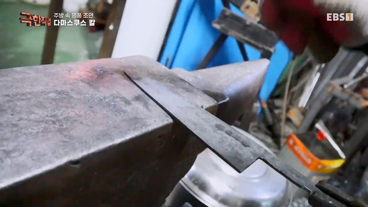 TV - 전 국민의 평생학교 EBS주방속 명품 조연!.mp4_20240312_202413.430.jpg