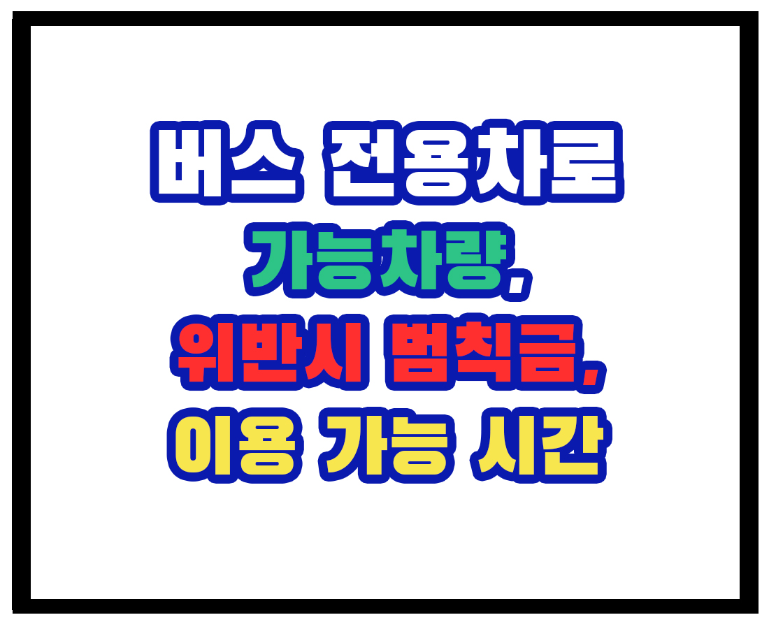 버스전용차로 가능차량, 위반 범칙금, 시간
