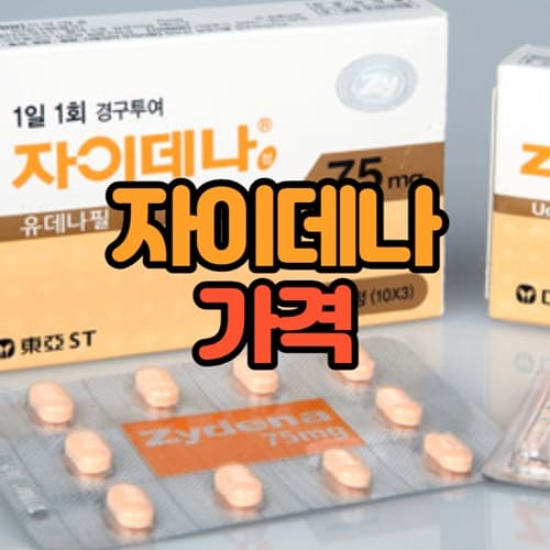 자이데나 가격