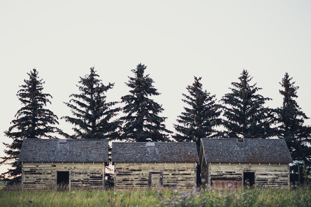 Rural experience