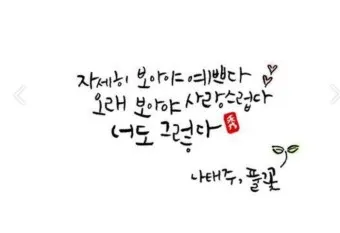 조정래 작가의 풀꽃도 꽃이다 2016 책 소개_12