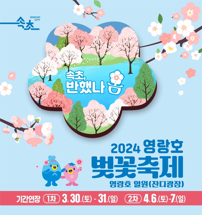 속초 벚꽃축제 사진