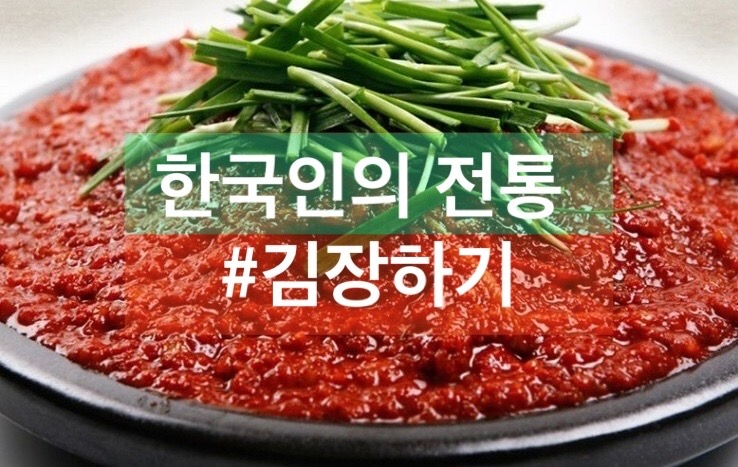  [요리] 해남 절임배추 & 강원도 고랭지 배추생산량 알아보기!