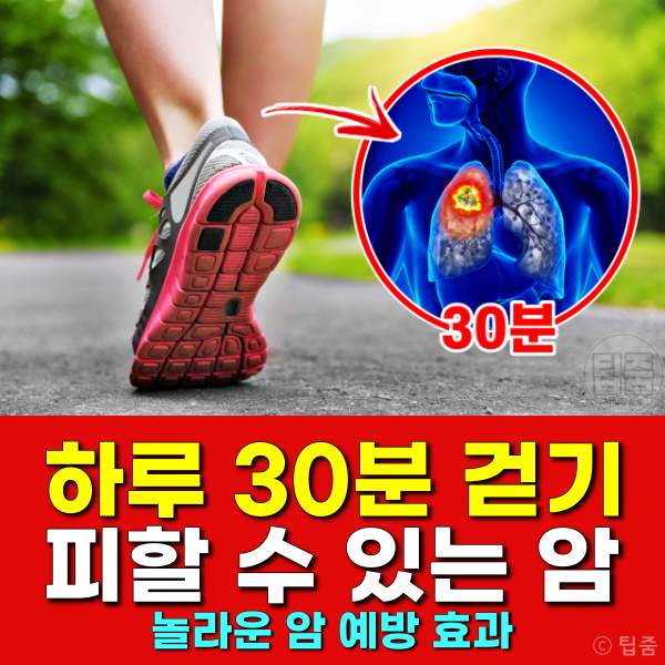 하루 30분 걷기 효과,하루 30분 걷기로 피할수 있는 암