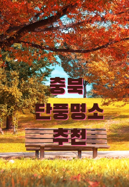 충북 단풍 명소 추천지