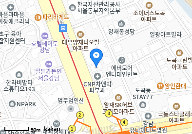 서울 강남구 도곡동 일요일 진료 휴일 문 여는 병원